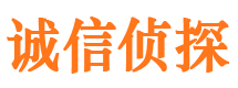 连山侦探调查公司